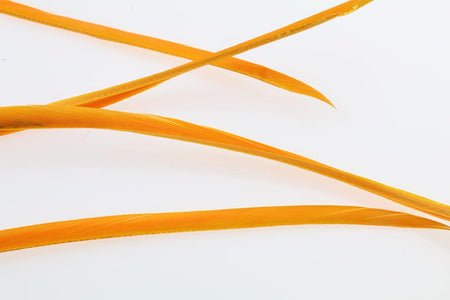 You added <b><u>Goose Biots - Amber</u></b> to basket.