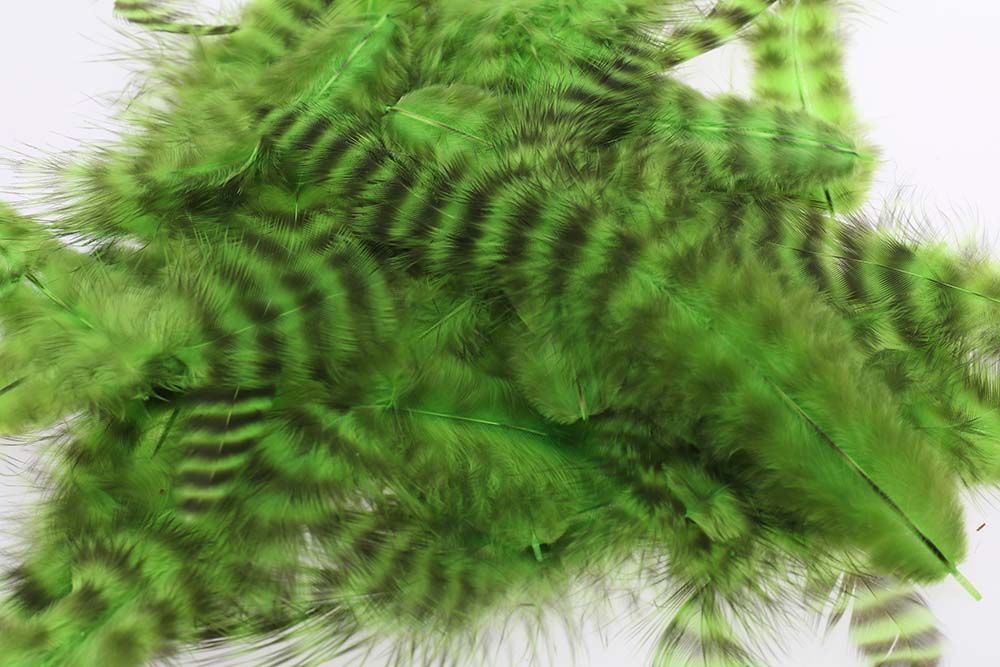 Soft hackles - Grizzly Chartreuse