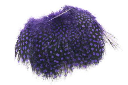 You added <b><u>Guinea Fowl - Purple</u></b> to basket.