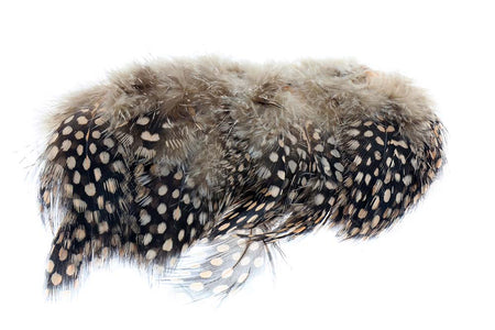 You added <b><u>Guinea Fowl - Tan</u></b> to basket.