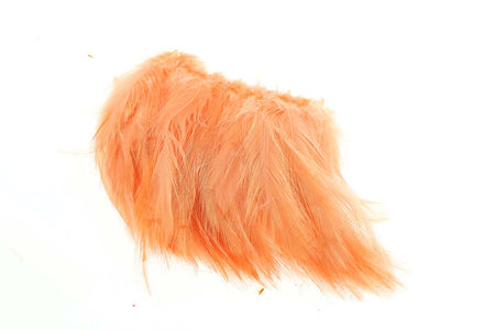 You added <b><u>Hen Hackler - Salmon Pink (The Piglet)</u></b> to basket.