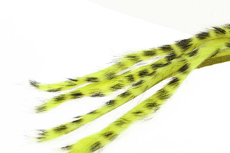 You added <b><u>3 mm Rabbit Barred zonkerstrip - Fl.Yellow</u></b> to basket.