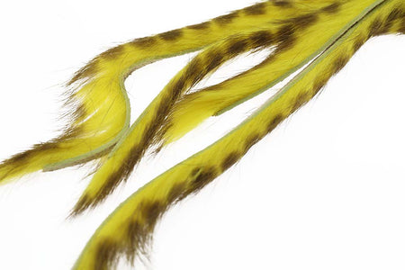 You added <b><u>3 mm Rabbit Barred zonkerstrip - Yellow</u></b> to basket.