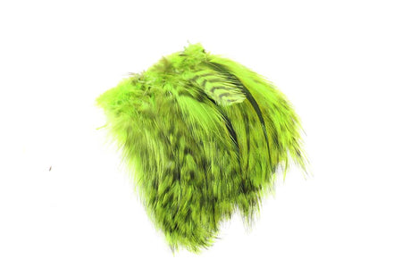 You added <b><u>Rooster Hackles Grizzly - Fl.Chartreuse</u></b> to basket.