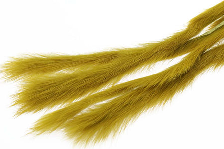 You added <b><u>3 mm Rabbit Zonkerstrip - Golden Olive</u></b> to basket.