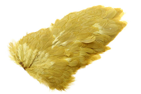 You added <b><u>4B Whiting Hen Soft saddle - Golden Olive</u></b> to basket.
