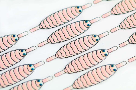 You added <b><u>Pro Gammarus shields - Shell pink</u></b> to basket.