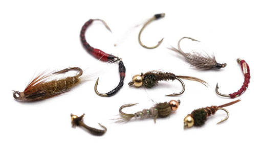 You added <b><u>10 mixed nymphs</u></b> to basket.