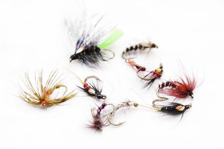 You added <b><u>10 mixed wet flies</u></b> to basket.