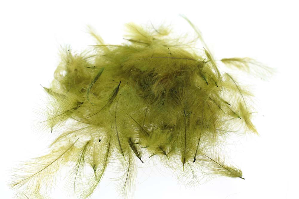 Select  Cdc 1 gram - Olive