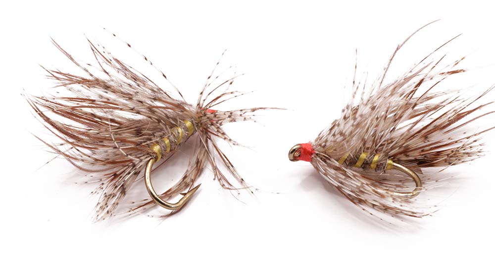 Flashback nymph Size 12 - tied in DK