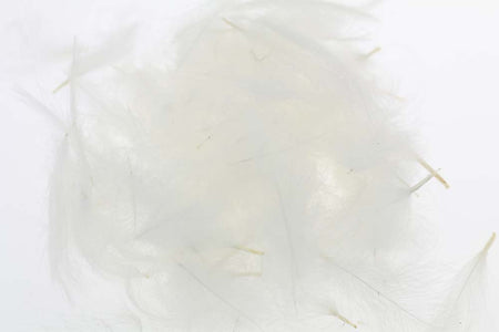 You added <b><u>Selected Cdc 1 gram - White</u></b> to basket.