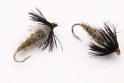 Flashback nymph Size 12 - tied in DK