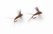 Flashback nymph Size 12 - tied in DK