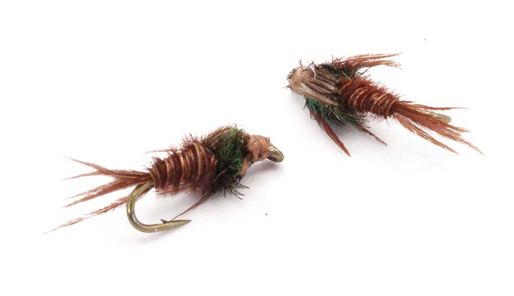 Flashback nymph Size 12 - tied in DK