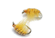 Flashback nymph Size 12 - tied in DK