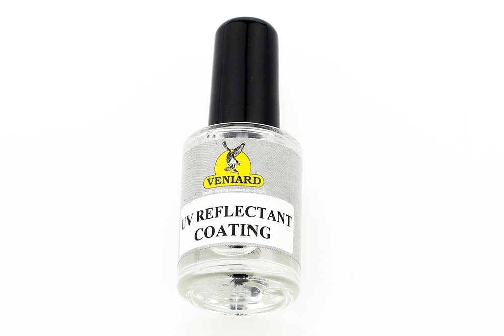Benecchi Varnish - Clear with needle