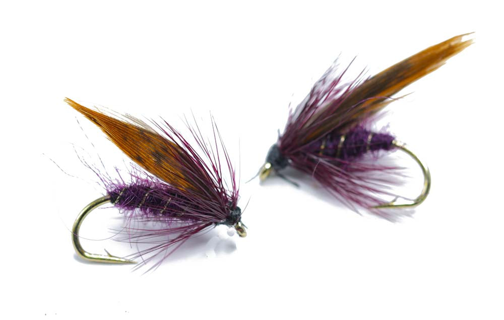 Flashback nymph Size 12 - tied in DK