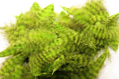 You added <b><u>Grizzly Marabou - Chartreuse</u></b> to basket.