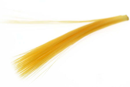 You added <b><u>Fibetts Spinner tails - Ginger (Sulph)</u></b> to basket.