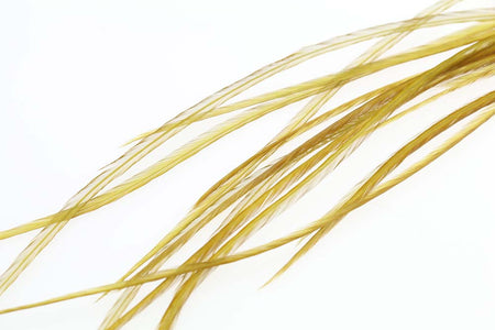 You added <b><u>Selected Flatwing/dryfly Feather - Golden Olive</u></b> to basket.