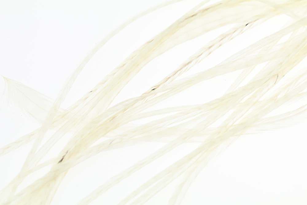 10+ Selected Flatwing/dryfly Feather - White