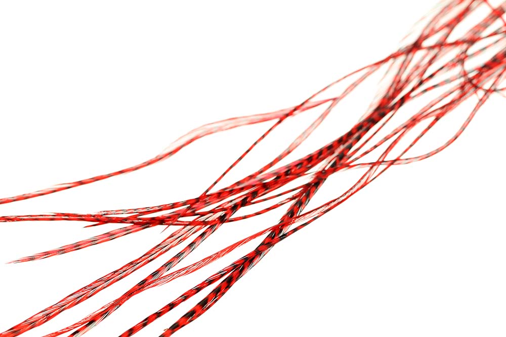 10+ Selected Flatwing/dryfly Feather - Grizzly Red