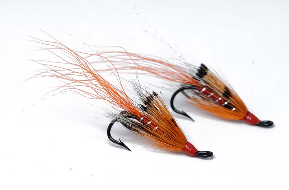 Allys shrimp