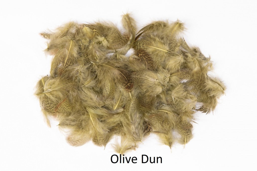 Partridge - loose feathers