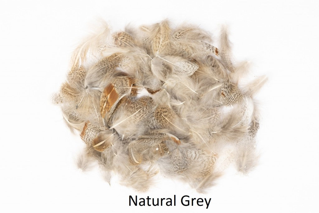 Partridge - loose feathers