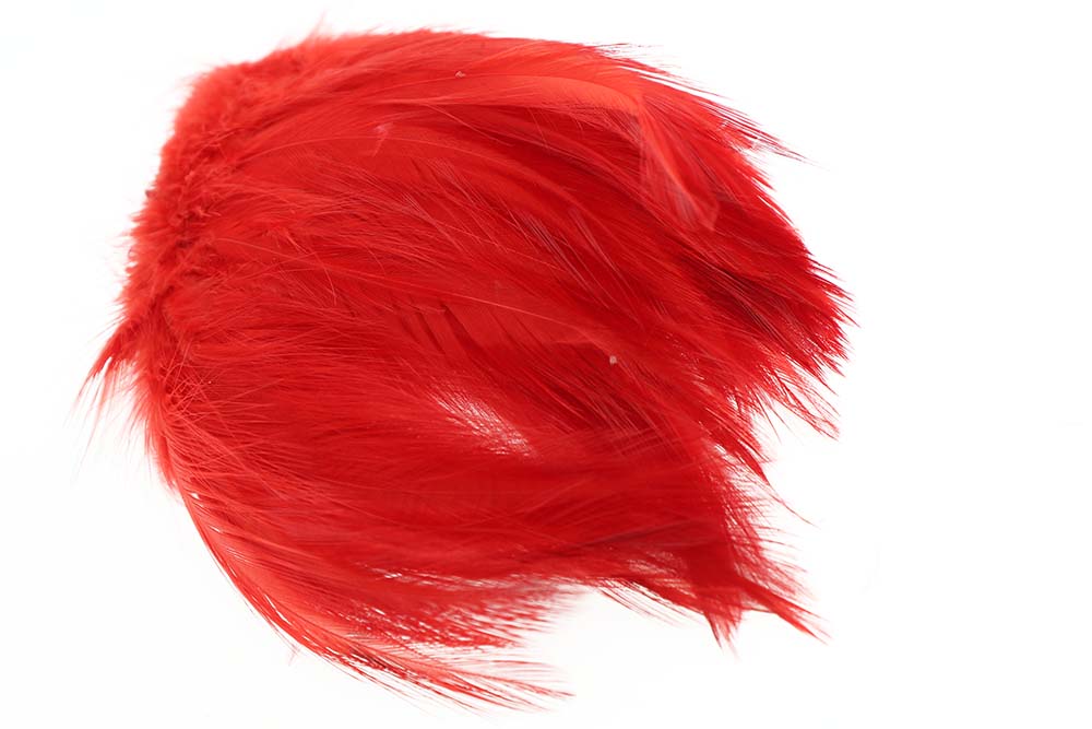 Hane Hackler - Red