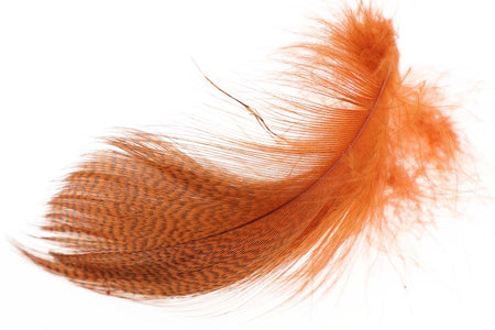 You added <b><u>Mallard Barred Flank - Burnt Orange</u></b> to basket.