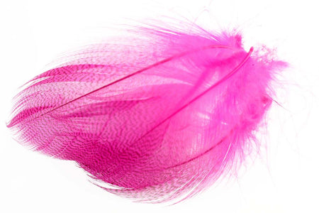 You added <b><u>Mallard Barred Flank - Fluo. Pink</u></b> to basket.