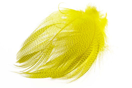 You added <b><u>Mallard Barred Flank - Mayfly Yellow</u></b> to basket.