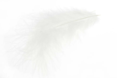 You added <b><u>Mini marabou - White</u></b> to basket.