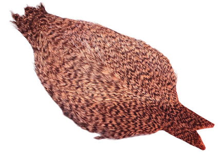 You added <b><u>Whiting Coq De Leon - Grizzly dyed Salmon</u></b> to basket.