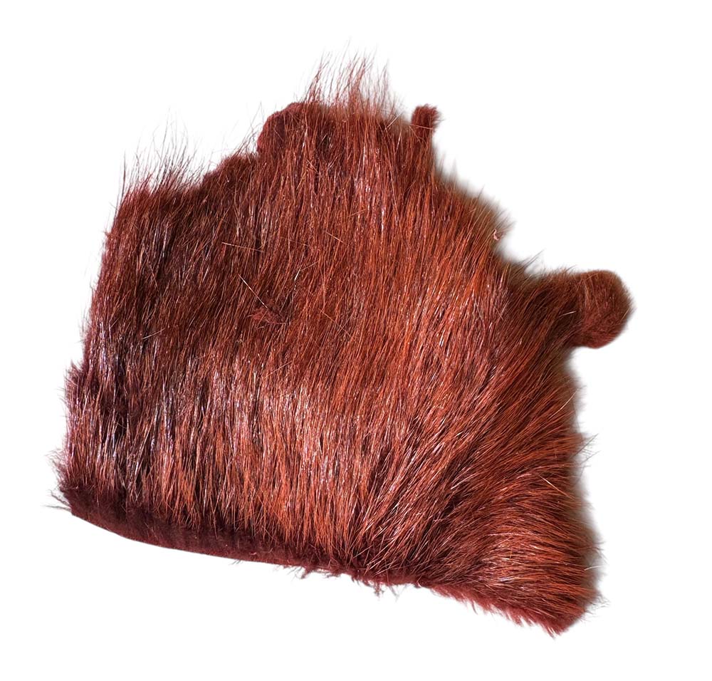 Nutria