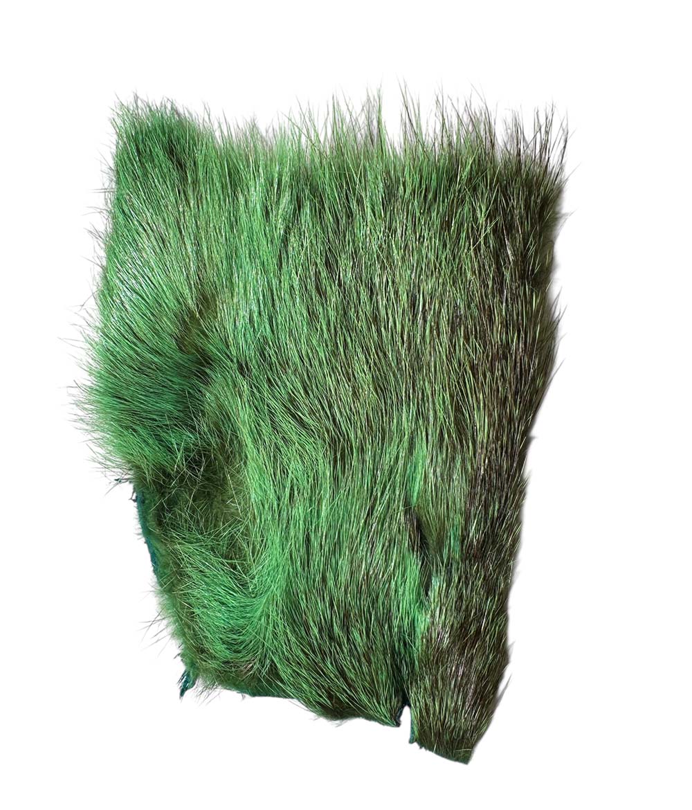 Nutria