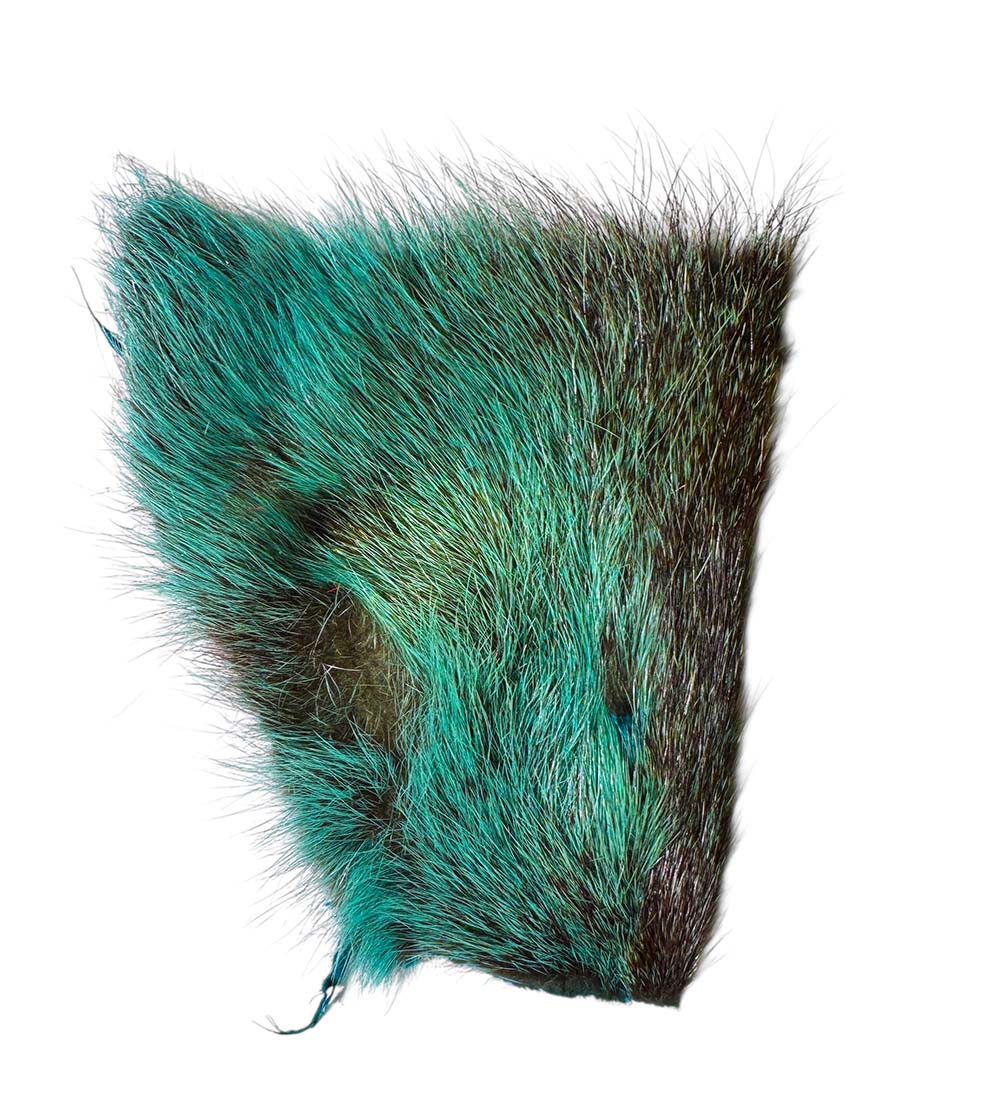 Nutria