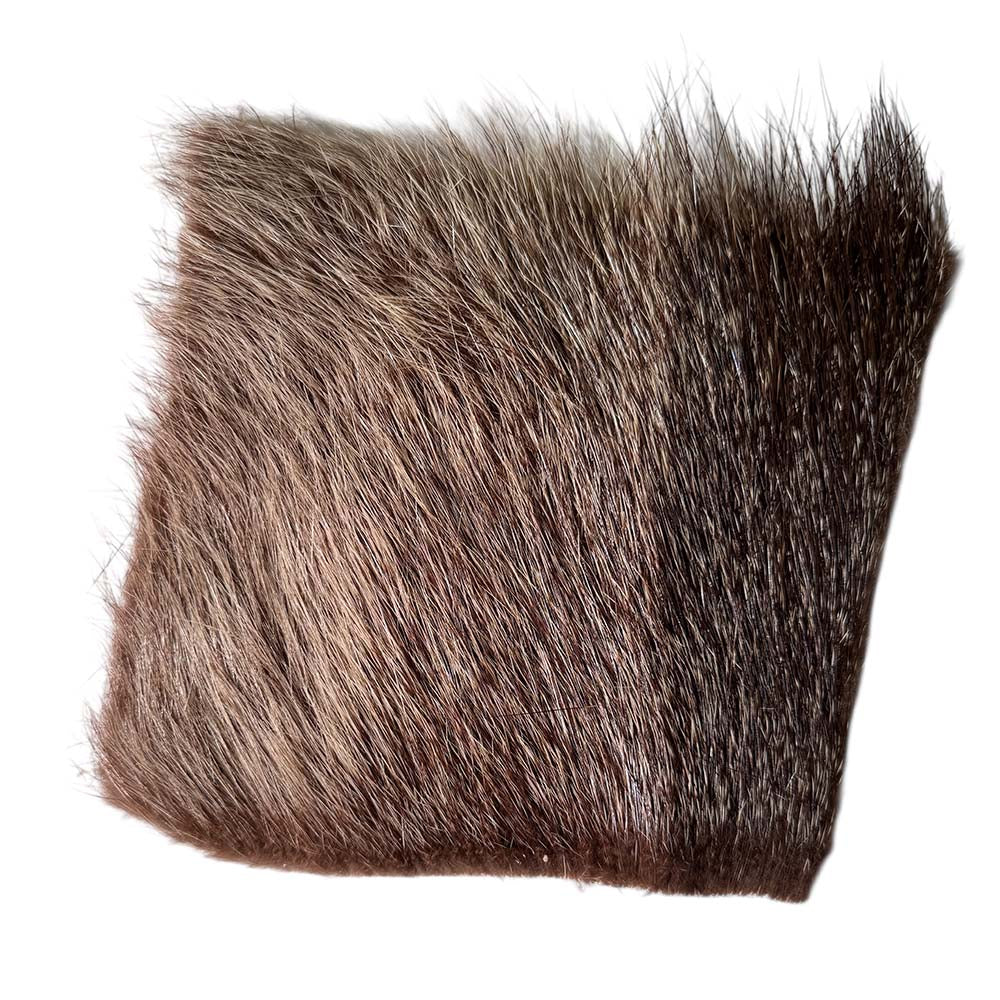 Nutria