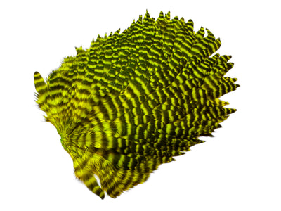 You added <b><u>Futurefly FF Signature Hen Saddle - Chartreuse Grizzly</u></b> to basket.