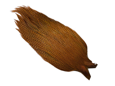 You added <b><u>Ewing #1 Grizzly Cape Brownish Olive</u></b> to basket.