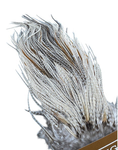 You added <b><u>Ewing Special #1 unique Sadel - Ghost barred grizzly 3</u></b> to basket.