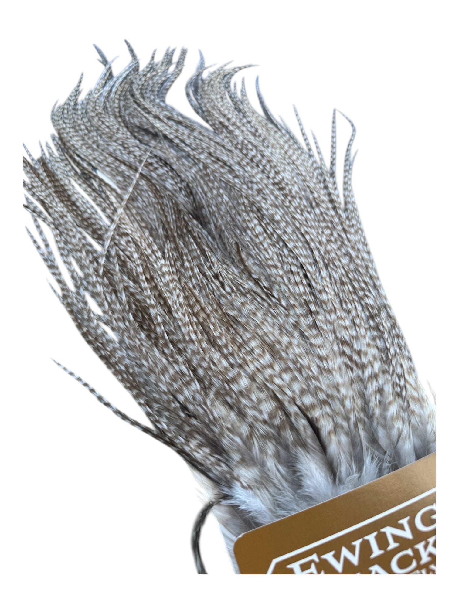 Ewing Special #1 unique Sadel - Ghost barred grizzly 2