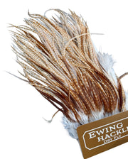 Ewing Special #1 unique Sadel - Ghost barred Ginger
