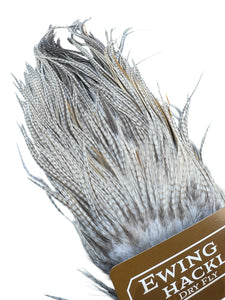 You added <b><u>Ewing Special #1 unique Sadel - Ghost barred grizzly 1</u></b> to basket.