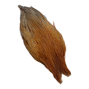 You added <b><u>Ewing Special #1 unique cape - Cree 1</u></b> to basket.
