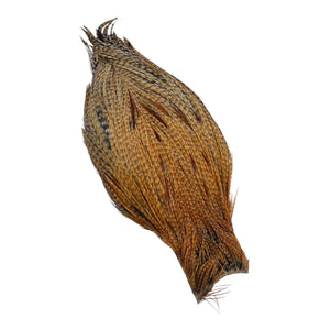 You added <b><u>Ewing Special #1 unique cape - Cree 3</u></b> to basket.