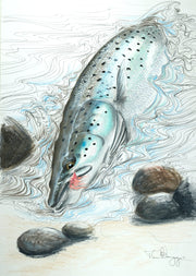 Thomas Weiergang original A3 - Piglet Seatrout A3 