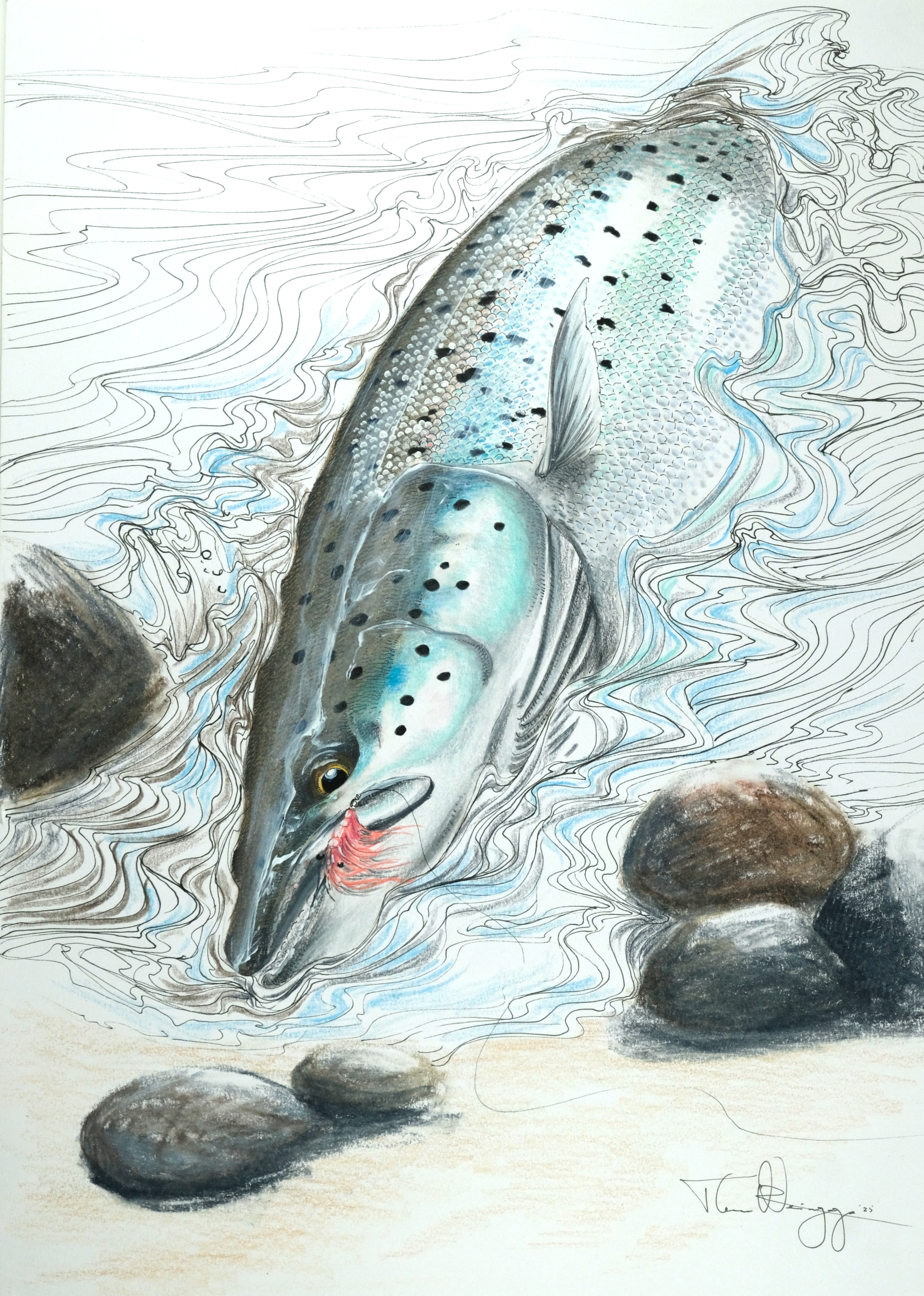 Thomas Weiergang original A3 - Piglet Seatrout A3 